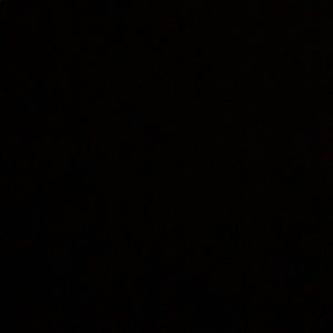 Meet your Posher, Bianca